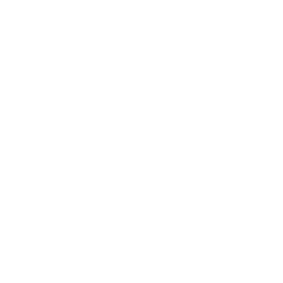 wordpress institute